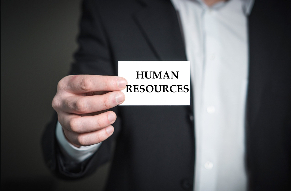 work in human resource career